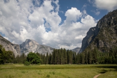 Yosemite Meadow