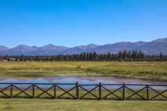 Horse Pasture