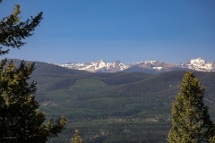 From a Distance