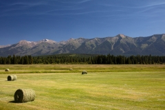 Hay Bales