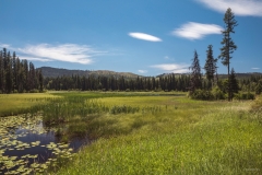 Seeley Lake Preserve