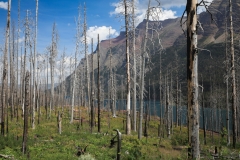 Glacier National Park