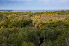 Early Autumn